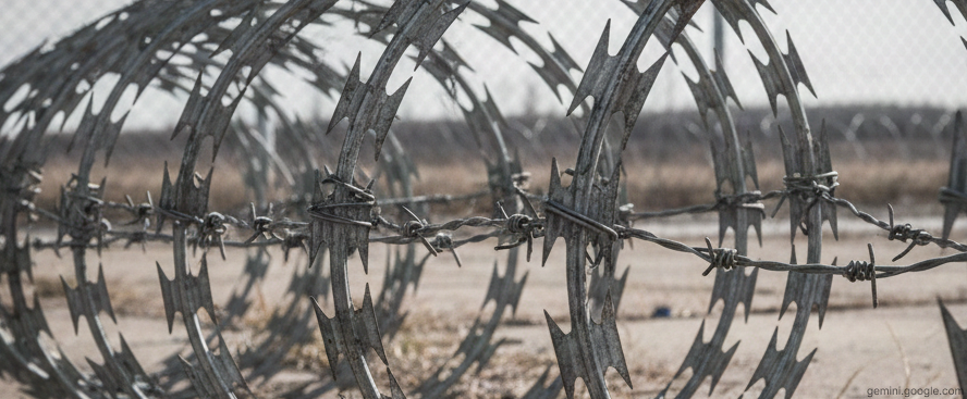 "Егоза" "Егоза"